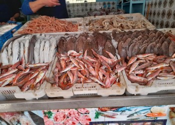 تسويق 236 مليارا من منتوجات الصيد