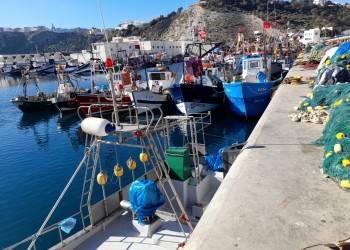 إيقاف قاصر حاول التسلل إلى باخرة المسافرين بالحسيمة