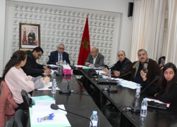 اللجنة التحضيرية لحركة المبادرات الديمقراطية تلتئم بالرباط