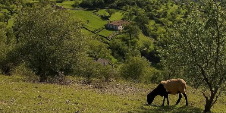 قرى بالحسيمة تئن تحت وطأة الإهمال والتهميش